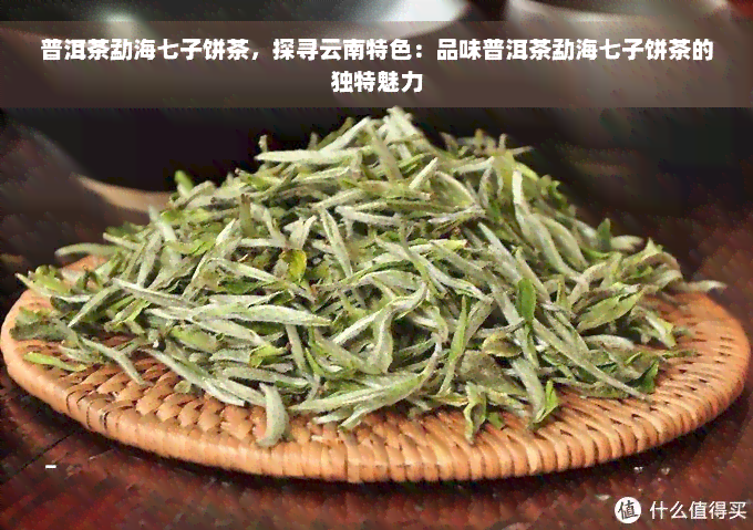 普洱茶勐海七子饼茶，探寻云南特色：品味普洱茶勐海七子饼茶的独特魅力