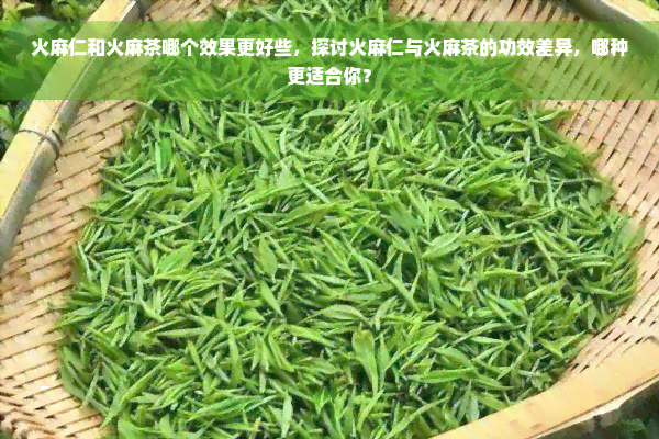 火麻仁和火麻茶哪个效果更好些，探讨火麻仁与火麻茶的功效差异，哪种更适合你？