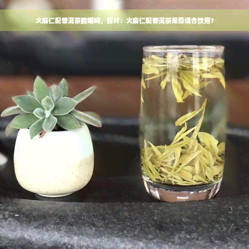 火麻仁配普洱茶能喝吗，探讨：火麻仁配普洱茶是否适合饮用？