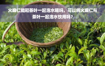 火麻仁能和茶叶一起泡水喝吗，可以将火麻仁与茶叶一起泡水饮用吗？