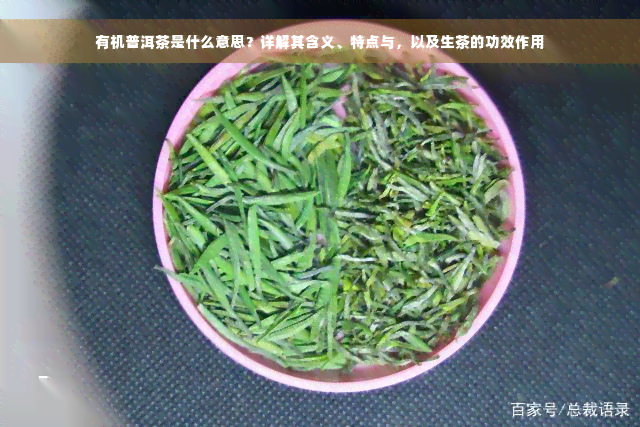 有机普洱茶是什么意思？详解其含义、特点与，以及生茶的功效作用