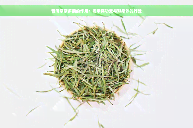 普洱茶茶多酚的作用：揭示其功效与对身体的好处