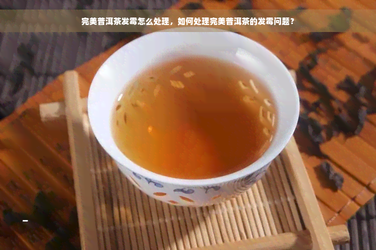 完美普洱茶发霉怎么处理，如何处理完美普洱茶的发霉问题？