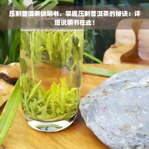 压制普洱茶说明书，掌握压制普洱茶的秘诀：详细说明书在此！