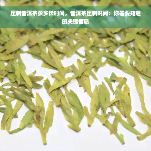 压制普洱茶蒸多长时间，普洱茶压制时间：你需要知道的关键信息