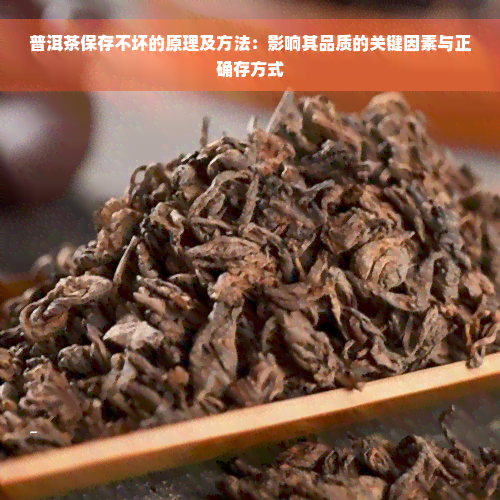 普洱茶保存不坏的原理及方法：影响其品质的关键因素与正确存方式