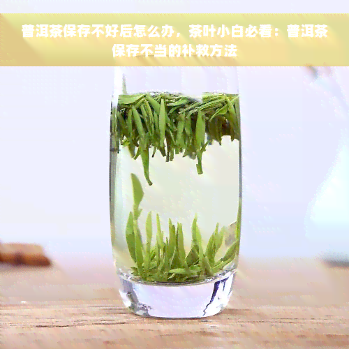 普洱茶保存不好后怎么办，茶叶小白必看：普洱茶保存不当的补救方法