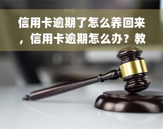 信用卡逾期了怎么养回来，信用卡逾期怎么办？教你如何养回信用记录