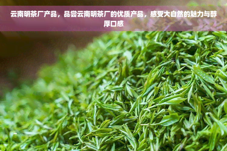 云南明茶厂产品，品尝云南明茶厂的优质产品，感受大自然的魅力与醇厚口感