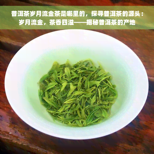 普洱茶岁月流金茶是哪里的，探寻普洱茶的源头：岁月流金，茶香四溢——揭秘普洱茶的产地