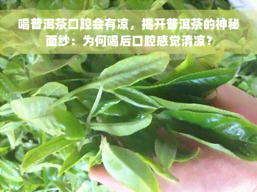 喝普洱茶口腔会有凉，揭开普洱茶的神秘面纱：为何喝后口腔感觉清凉？