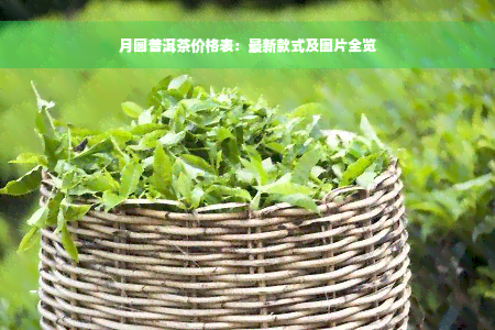 月圆普洱茶价格表：最新款式及图片全览