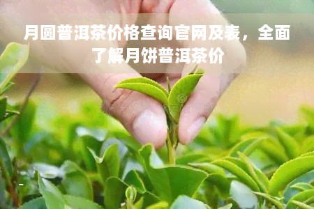 月圆普洱茶价格查询官网及表，全面了解月饼普洱茶价