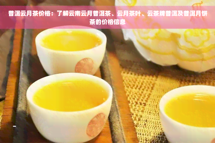 普洱云月茶价格：了解云南云月普洱茶、云月茶叶、云茶牌普洱及普洱月饼茶的价格信息