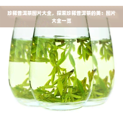 珍稀普洱茶图片大全，探索珍稀普洱茶的美：图片大全一览