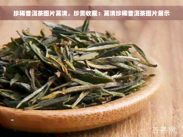 珍稀普洱茶图片高清，珍贵收藏：高清珍稀普洱茶图片展示