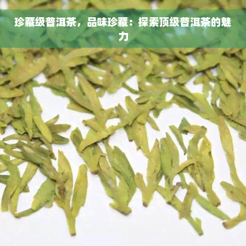 珍藏级普洱茶，品味珍藏：探索顶级普洱茶的魅力