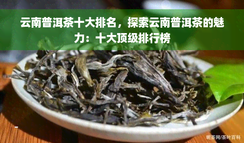 云南普洱茶十大排名，探索云南普洱茶的魅力：十大顶级排行榜