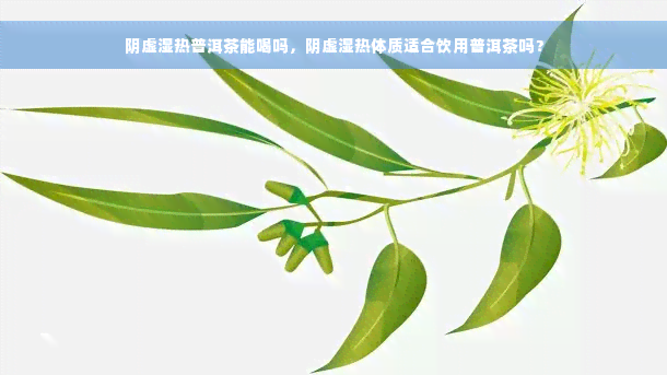 阴虚湿热普洱茶能喝吗，阴虚湿热体质适合饮用普洱茶吗？