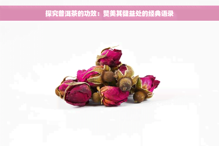 探究普洱茶的功效：赞美其健益处的经典语录