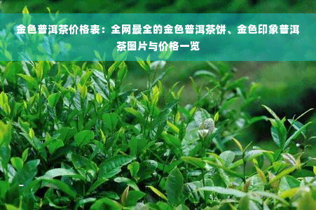 金色普洱茶价格表：全网最全的金色普洱茶饼、金色印象普洱茶图片与价格一览