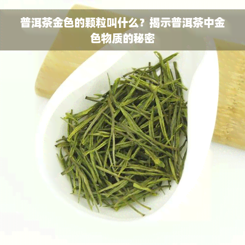 普洱茶金色的颗粒叫什么？揭示普洱茶中金色物质的秘密