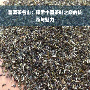 普洱茶名山：探索中国茶叶之巅的传奇与魅力