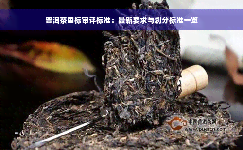 普洱茶国标审评标准：最新要求与划分标准一览