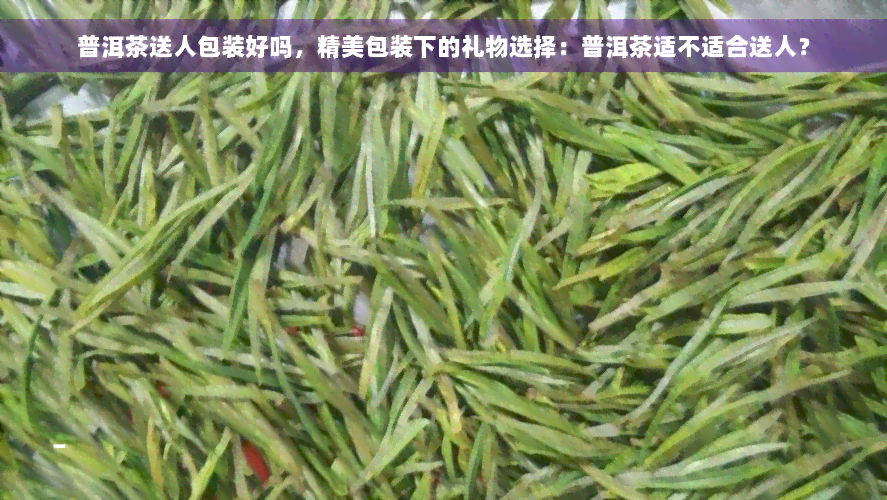 普洱茶送人包装好吗，精美包装下的礼物选择：普洱茶适不适合送人？