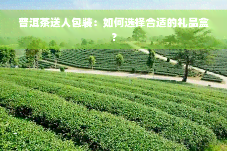 普洱茶送人包装：如何选择合适的礼品盒？