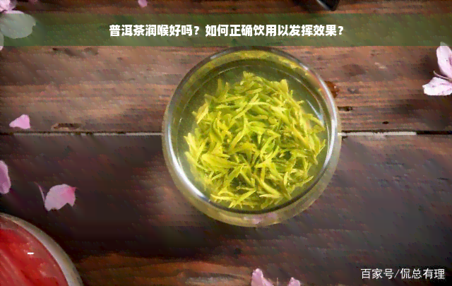 普洱茶润喉好吗？如何正确饮用以发挥效果？