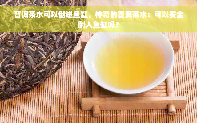 普洱茶水可以倒进鱼缸，神奇的普洱茶水：可以安全倒入鱼缸吗？