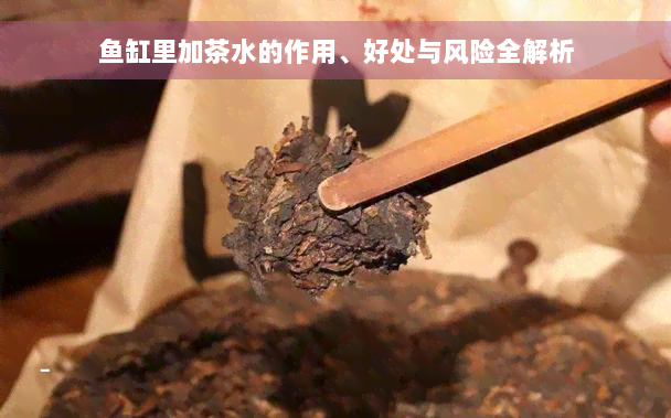 鱼缸里加茶水的作用、好处与风险全解析