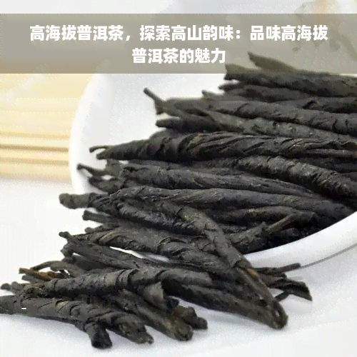 高海拔普洱茶，探索高山韵味：品味高海拔普洱茶的魅力