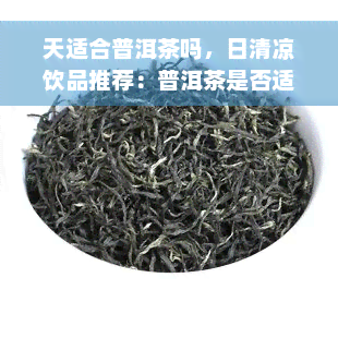 天适合普洱茶吗，日清凉饮品推荐：普洱茶是否适合饮用？