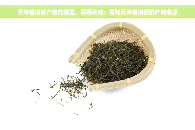 天津普洱茶产地在哪里，探寻美味：揭秘天津普洱茶的产地来源