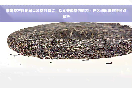 普洱茶产区地图以及茶的特点，探索普洱茶的魅力：产区地图与独特特点解析