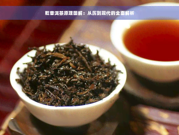 乾普洱茶原理图解：从历到现代的全面解析