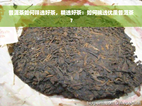 普洱茶如何筛选好茶，精选好茶：如何挑选优质普洱茶？