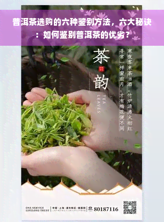 普洱茶选购的六种鉴别方法，六大秘诀：如何鉴别普洱茶的优劣？