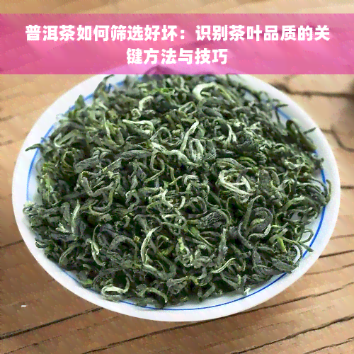 普洱茶如何筛选好坏：识别茶叶品质的关键方法与技巧