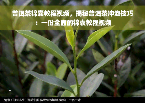 普洱茶锦囊教程视频，揭秘普洱茶冲泡技巧：一份全面的锦囊教程视频