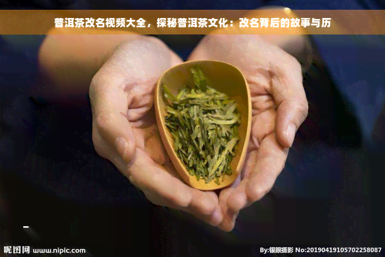 普洱茶改名视频大全，探秘普洱茶文化：改名背后的故事与历