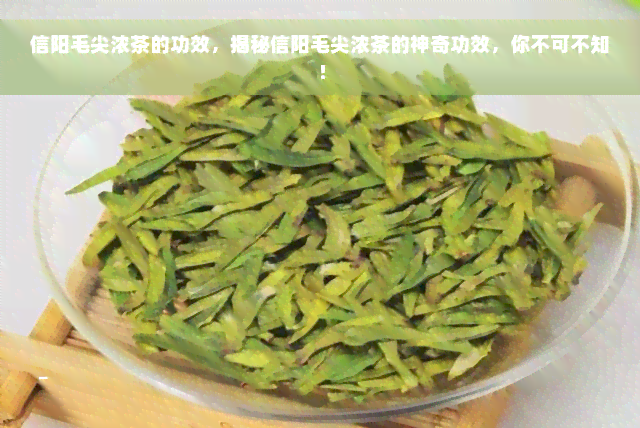 信阳毛尖浓茶的功效，揭秘信阳毛尖浓茶的神奇功效，你不可不知！