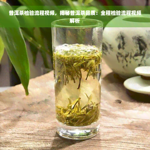 普洱茶检验流程视频，揭秘普洱茶品质：全程检验流程视频解析