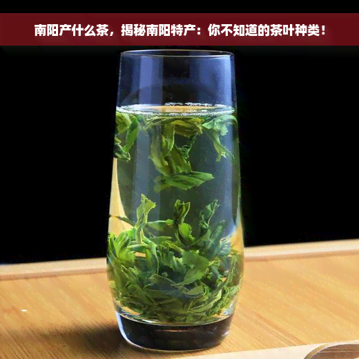 南阳产什么茶，揭秘南阳特产：你不知道的茶叶种类！