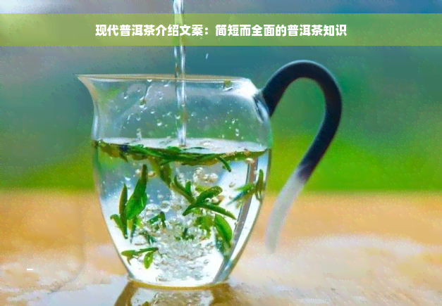 现代普洱茶介绍文案：简短而全面的普洱茶知识