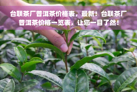 台联茶厂普洱茶价格表，最新！台联茶厂普洱茶价格一览表，让您一目了然！