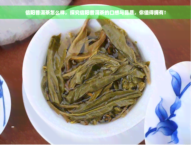 信阳普洱茶怎么样，探究信阳普洱茶的口感与品质，你值得拥有！