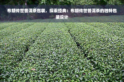 布朗传世普洱茶包装，探索经典：布朗传世普洱茶的独特包装设计